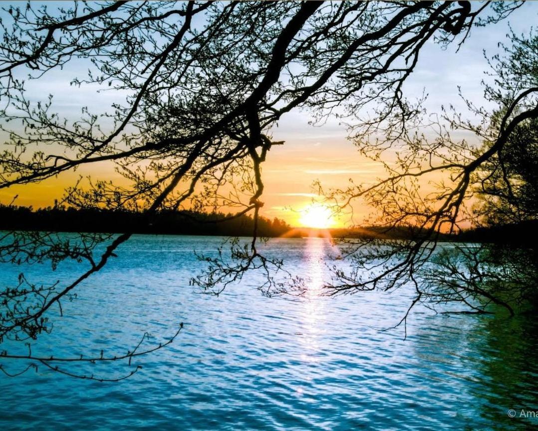 Close To The Metro And The Beach!!! With A View Of The Scandinavian Forest Stockholm Bagian luar foto